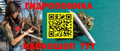 индика Донецк