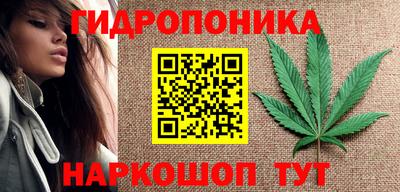 индика Донецк