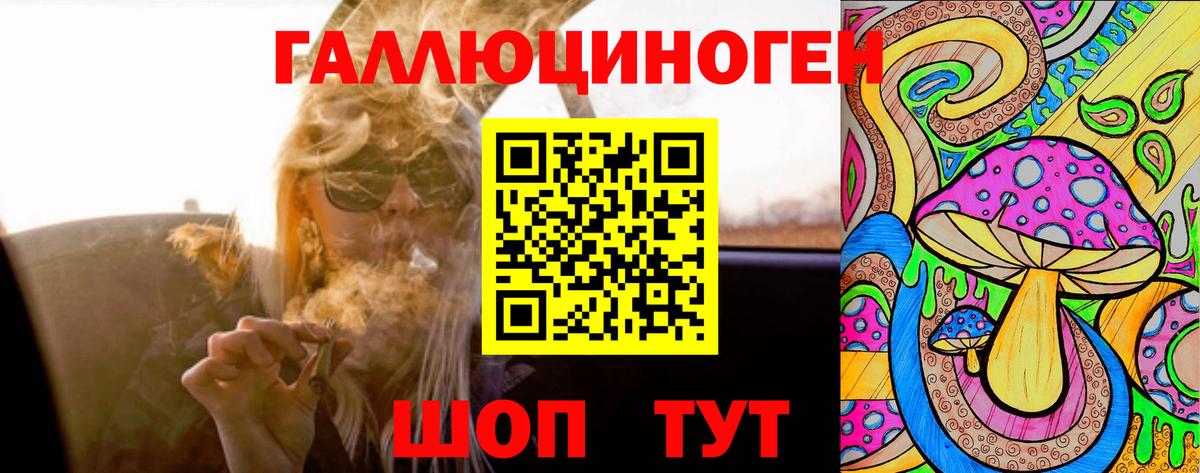 Псилоцибиновые грибы Psilocybe Клинцы