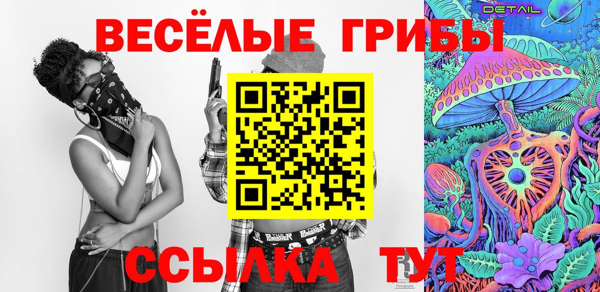 Псилоцибиновые грибы Psilocybe  Галлюциногенные грибы MAGIC MUSHROOMS  Вход с VPN  Клинцы 
